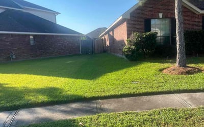 Photo of LaToya J.'s yard after getting lawn care in League City, TX
