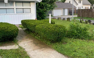 Photo of Robert M.'s yard after getting lawn care in Milford, MI