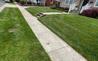 Photo of Sherri C.'s yard after getting lawn care in Bethesda, MD