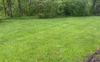 Photo of William R.'s yard after getting lawn care in La Grange, KY