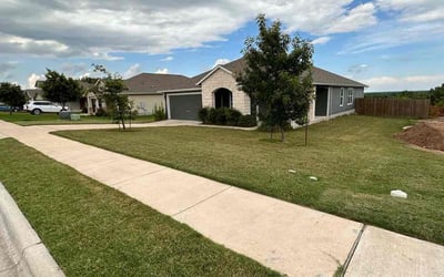 Photo of Greg G.'s yard after getting lawn care in Hutto, TX