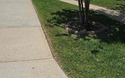 Photo of leila O.'s yard after getting lawn care in Spring, TX