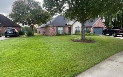 Photo of Jennifer M.'s yard after getting lawn care in Orland Park, IL