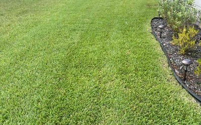Photo of Elaina M.'s yard after getting lawn care in Ossining, NY