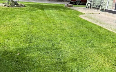 Photo of Jamal C.'s yard after getting lawn care in Fairport, NY