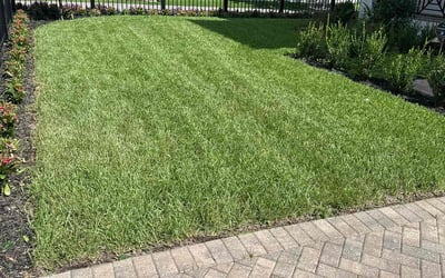 Photo of Arya M.'s yard after getting lawn care in Cuyahoga Falls, OH