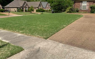 Photo of Wayne Z.'s yard after getting lawn care in Bartlett, TN