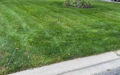 Photo of Ava J.'s yard after getting lawn care in Shakopee, MN