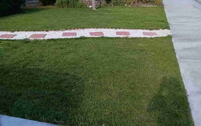 Photo of Keith C.'s yard after getting lawn care in Victorville, CA