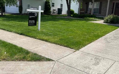 Photo of David T.'s yard after getting lawn care in Zionsville, IN