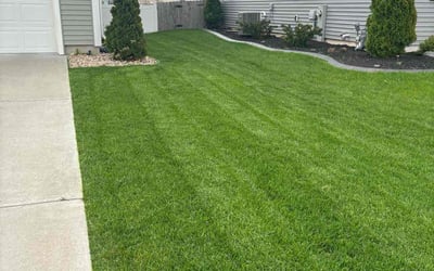 Photo of Cody E.'s yard after getting lawn care in Sun Prairie, WI