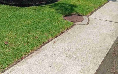 Photo of Laura D.'s yard after getting lawn care in Cartersville, GA