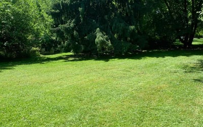 Photo of James K.'s yard after getting lawn care in Willow Grove, PA