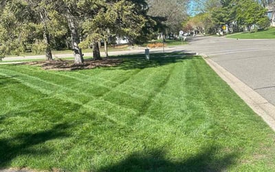 Photo of Brittany J.'s yard after getting lawn care in Stillwater, MN