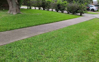 Photo of Arathi J.'s yard after getting lawn care in Hopkinton, MA
