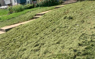 Photo of Li C.'s yard after getting lawn care in Mount Laurel, NJ