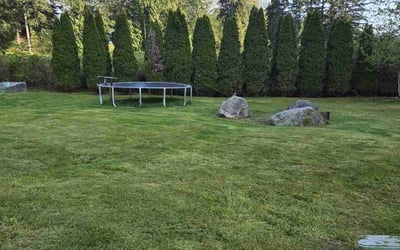 Photo of Tricia C.'s yard after getting lawn care in Puyallup, WA