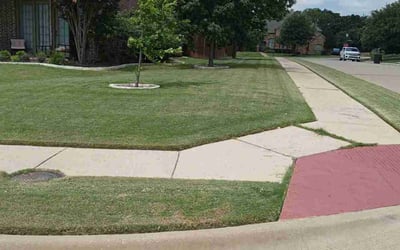 Photo of Curtis C.'s yard after getting lawn care in Keller, TX