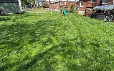 Photo of Pam O.'s yard after getting lawn care in Rockville, MD