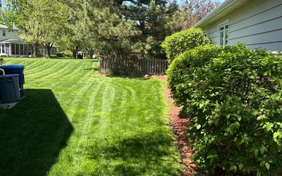 Photo of Sandi E.'s yard after getting lawn care in Crestwood, IL