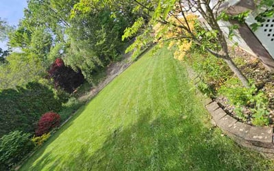 Photo of Ashley S.'s yard after getting lawn care in Moscow, PA
