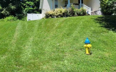 Photo of Jill J.'s yard after getting lawn care in La Follette, TN
