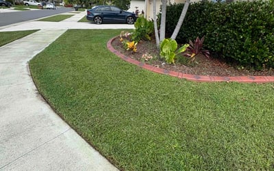 Photo of Cassandra W.'s yard after getting lawn care in New Berlin, WI