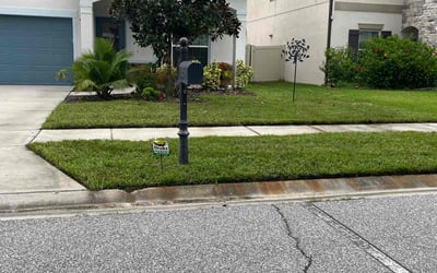 Photo of Debra C.'s yard after getting lawn care in Cedar Park, TX