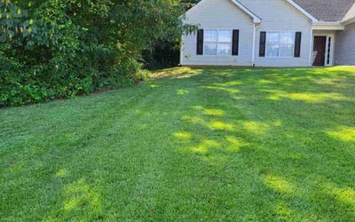 Photo of Dennis W.'s yard after getting lawn care in Covington, GA