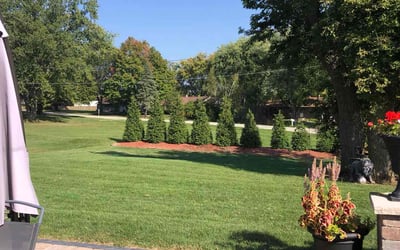 Photo of Patricia E.'s yard after getting lawn care in Germantown, WI