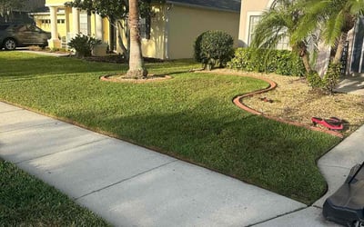 Photo of Jason G.'s yard after getting lawn care in Waltham, MA