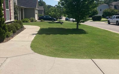 Photo of Paul M.'s yard after getting lawn care in Knightdale, NC