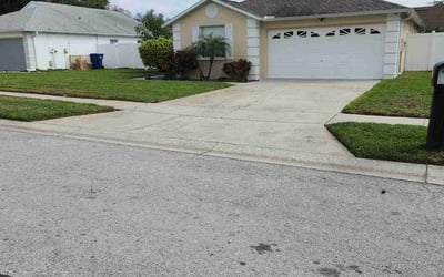Photo of Nico O.'s yard after getting lawn care in New Port Richey, FL