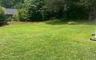 Photo of Ada F.'s yard after getting lawn care in Oak Island, NC