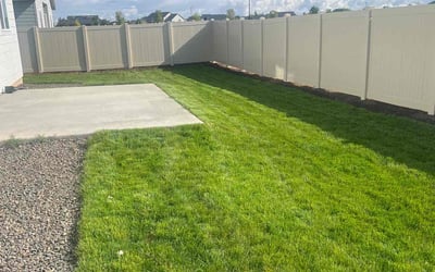 Photo of Amante H.'s yard after getting lawn care in Lynchburg, VA