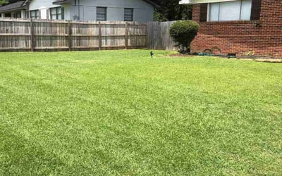 Photo of Carl P.'s yard after getting lawn care in Mishawaka, IN