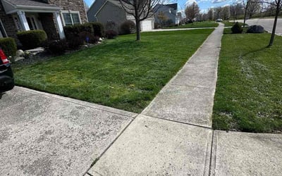 Photo of Elliott B.'s yard after getting lawn care in Hilliard, OH