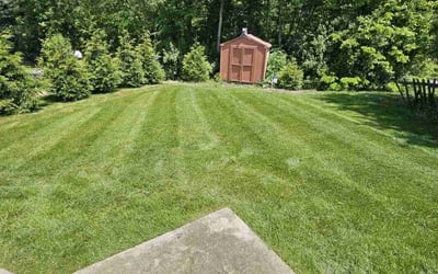 Photo of Ken A.'s yard after getting lawn care in Westmont, IL