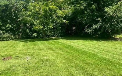 Photo of Thomas R.'s yard after getting lawn care in Massapequa, NY