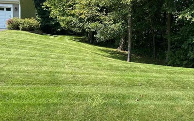 Photo of Glenna R.'s yard after getting lawn care in Clifton Park, NY