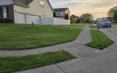 Photo of Mykaela C.'s yard after getting lawn care in Richardson, TX