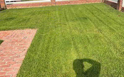Photo of Evelyn K.'s yard after getting lawn care in Hawthorne, CA