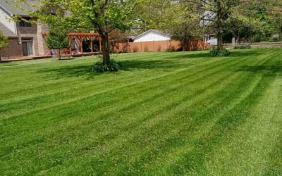 Photo of Ron F.'s yard after getting lawn care in New Lenox, IL