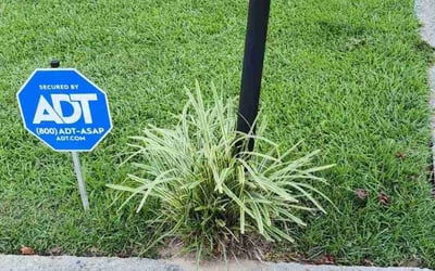 Photo of Shannon H.'s yard after getting lawn care in Rogersville, TN