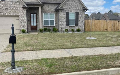 Photo of Breanna J.'s yard after getting lawn care in Horn Lake, MS
