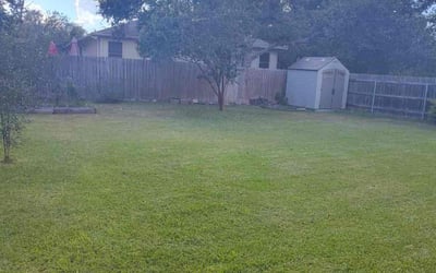 Photo of Richard B.'s yard after getting lawn care in Cedar Park, TX