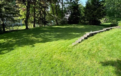 Photo of Rosa H.'s yard after getting lawn care in Albany, NY