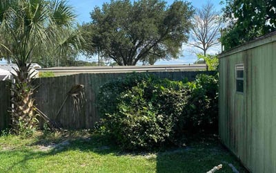 Photo of Sarah V.'s yard after getting tree care in Saint Augustine, FL