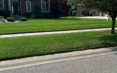 Photo of Aaron G.'s yard after getting lawn care in O'Fallon, MO