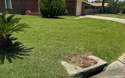 Photo of Carisa G.'s yard after getting lawn care in Williamstown, NJ